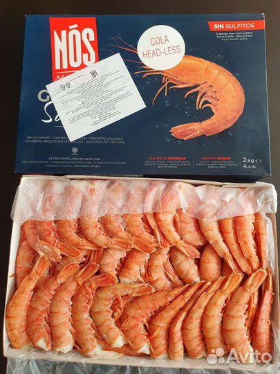 Лангустины С1 без головы