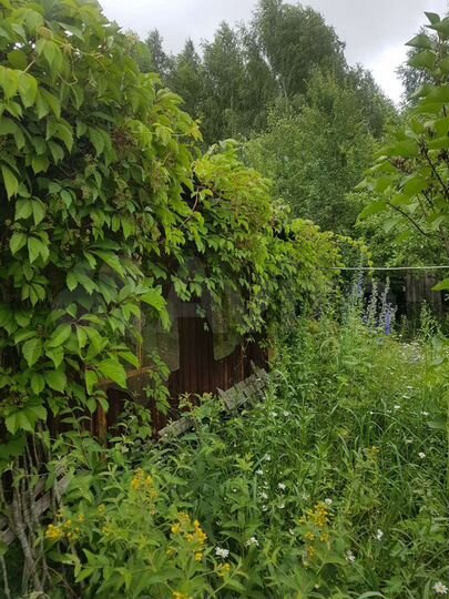 Участок 11 сот. (СНТ, ДНП)