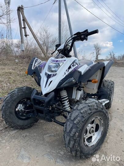 Raptor 350atv