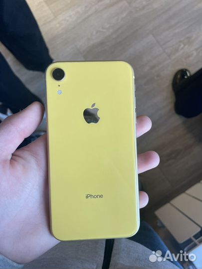 iPhone xr