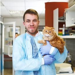 Ветеринарный врач Александр