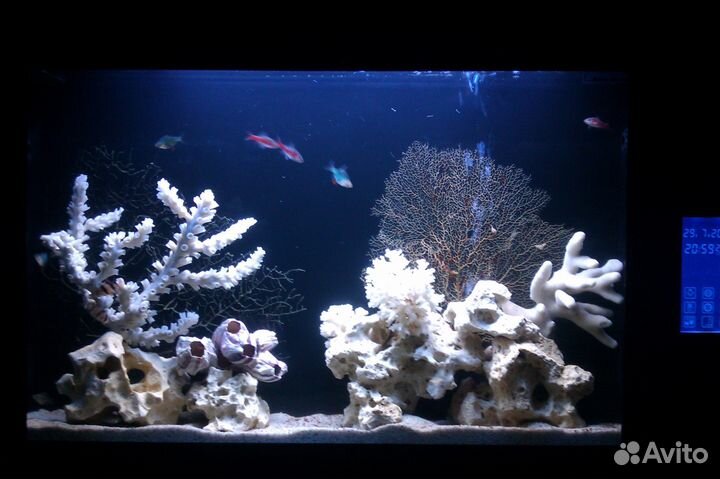 Обслуживание аквариумов