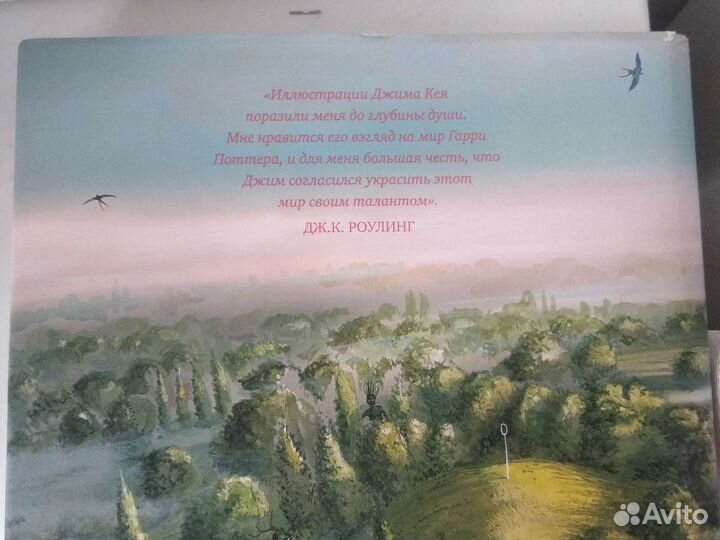 Книга Гарри Поттер и Тайная комната худож Джим Кей