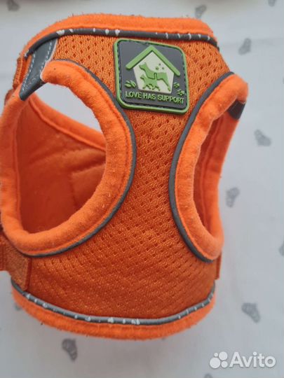 Одежда для собак мелких пород