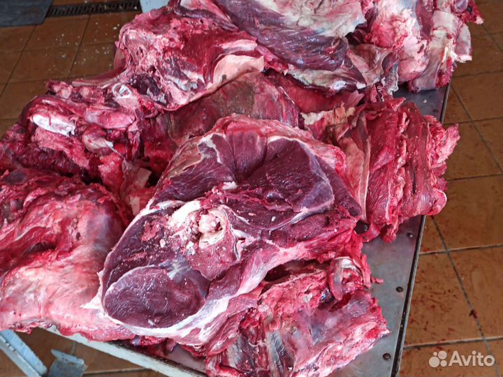 Мясо говядина для собак