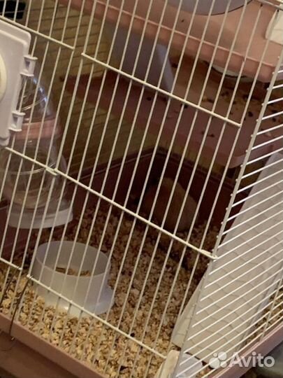 Клетка для грызунов