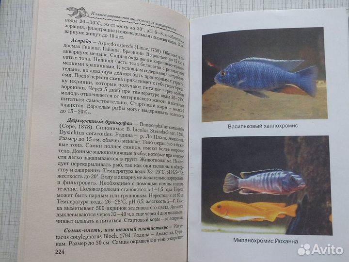 Энциклопедия аквариумиста иллюстрированная