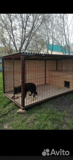 Вальеры для собак