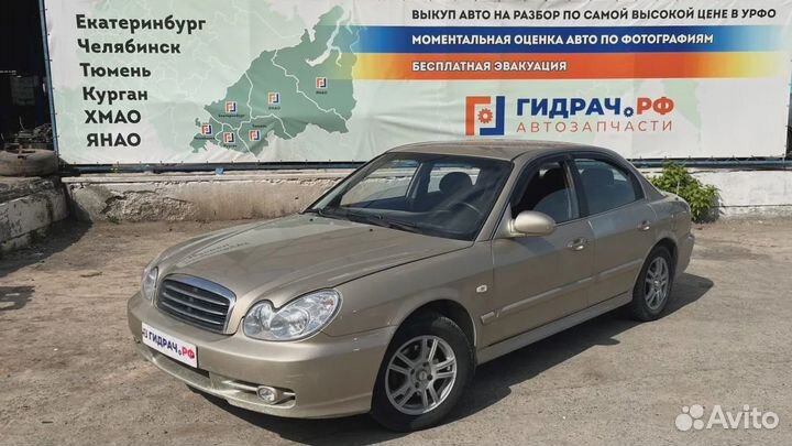 Обшивка двери передней правой Hyundai Sonata (EF)