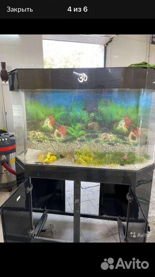 Аквариум с фильтром