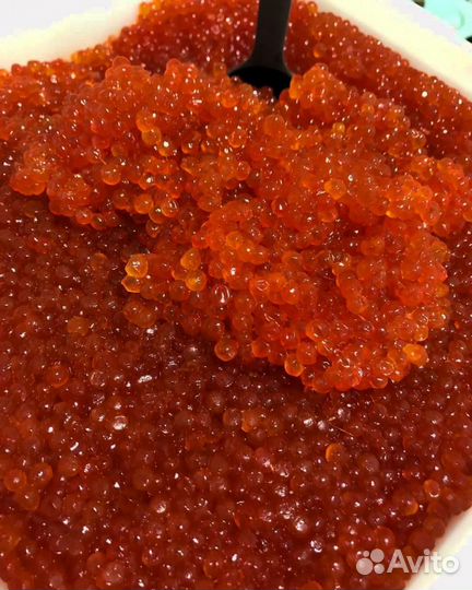 Икра красная опт горбуша