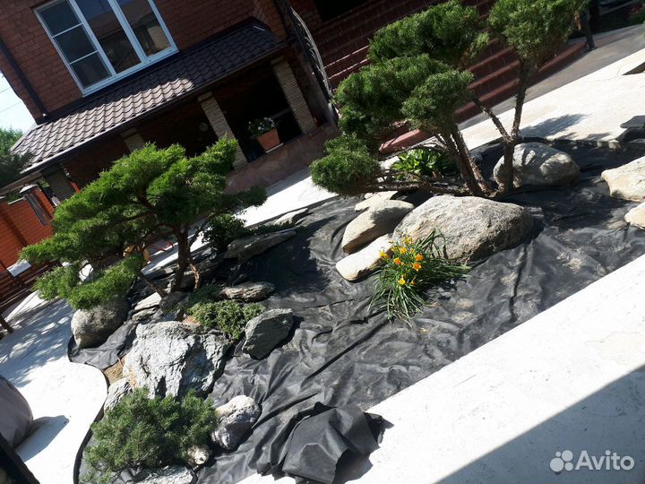 Благоустройство, газон, озеленение