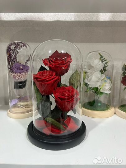 Розы в колбе