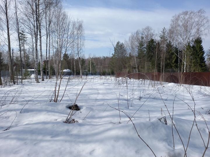 Участок 9,3 сот. (СНТ, ДНП)