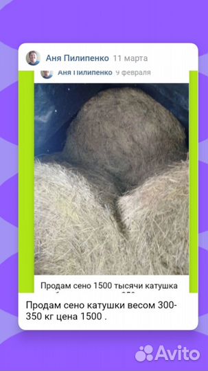 Сено в рулонах