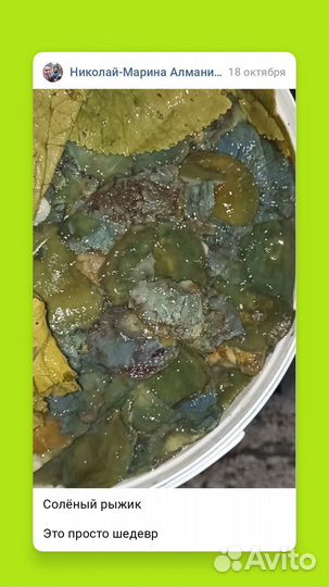 Грибы соленые домашние