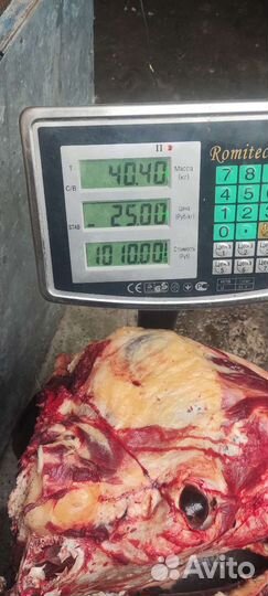 Корм для собак. Мясо. Рубец. Вымя