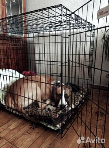 Клетка / вольер для собак