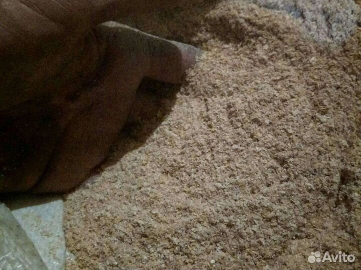 Отруби пшеничные, ячмень, зерноотход, пшеница