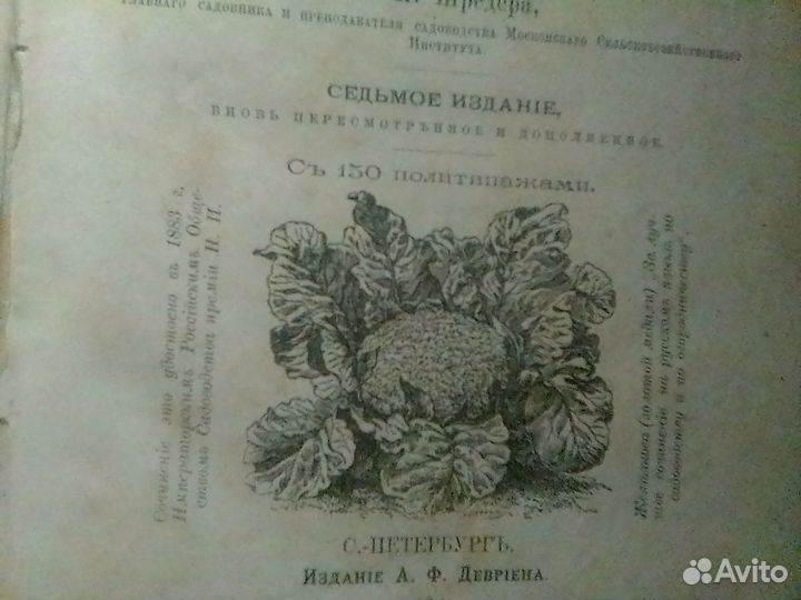 Коллекционная книга 1901 г санкт петербург