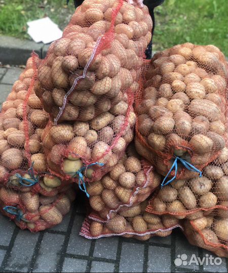 Картофель.Картошка доставка