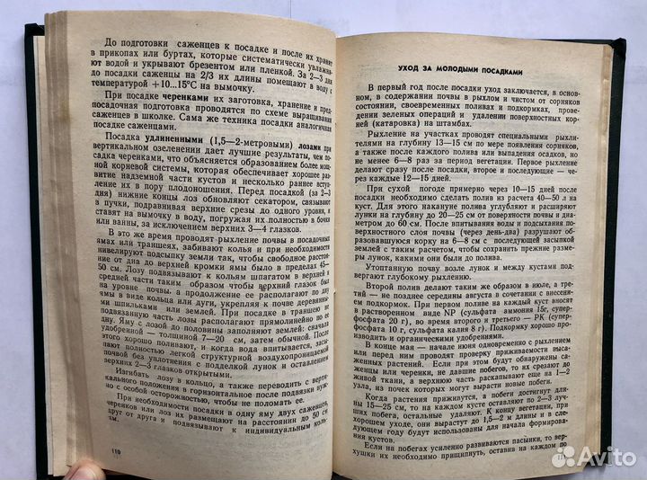 Сад и огород любителя