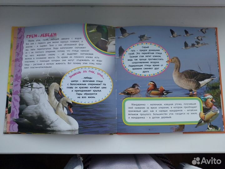 Книги для малышей пакетом 7 штук