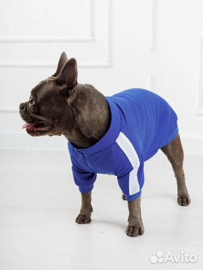 Одежда для собак и кошек