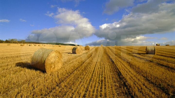 Участок 63 га (СНТ, ДНП)