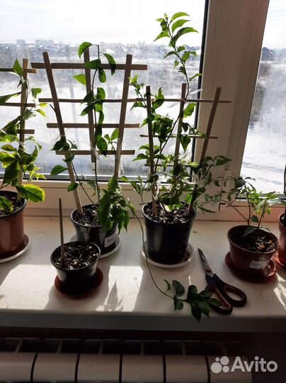 Опоры для растений