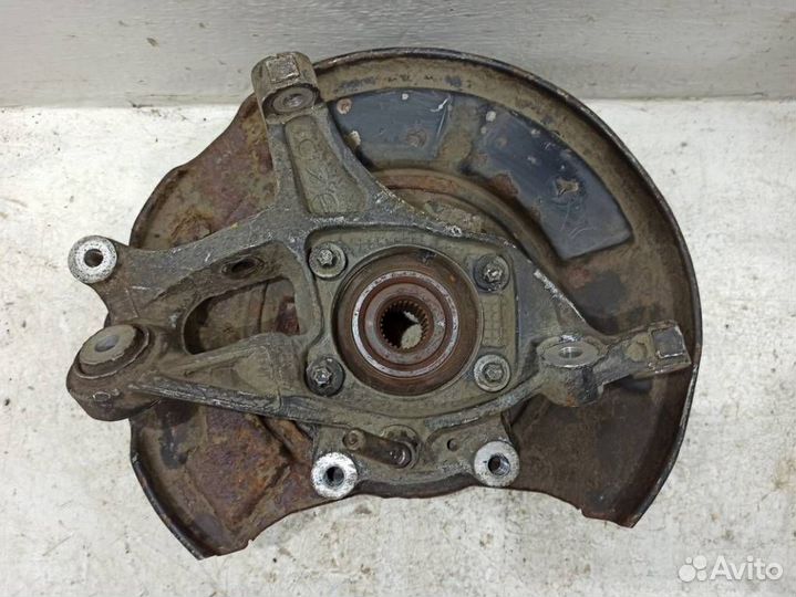 Кулак задний левый