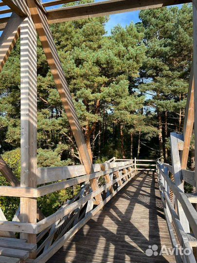 Куршская коса экскурсия