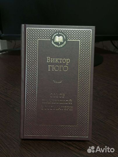 Виктор Гюго - Собор парижской богоматери