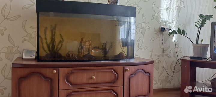 Аквариум