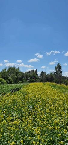 Участок 13 сот. (ИЖС)