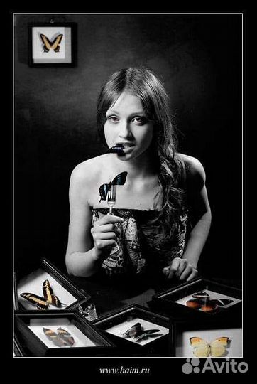 Рамка для панно, картин, жуков, бабочек