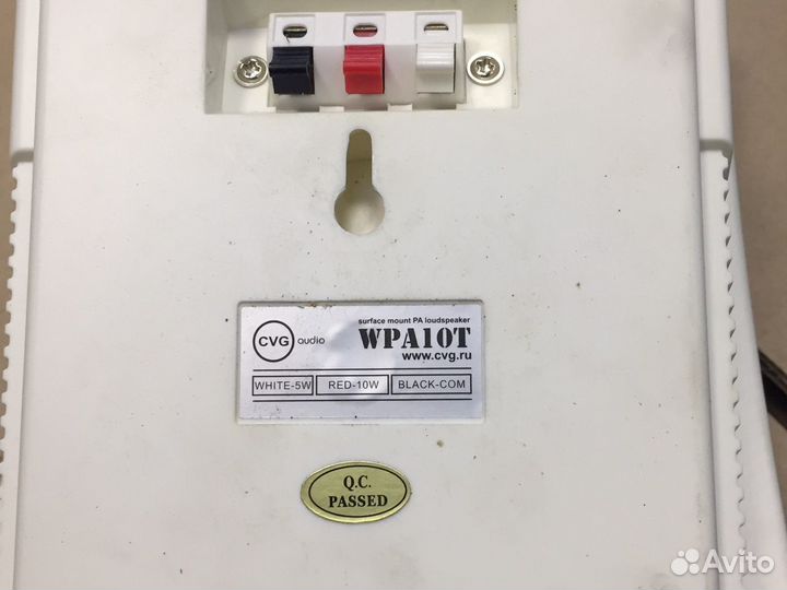 Колонка фонового звучания CVG wpa10 T