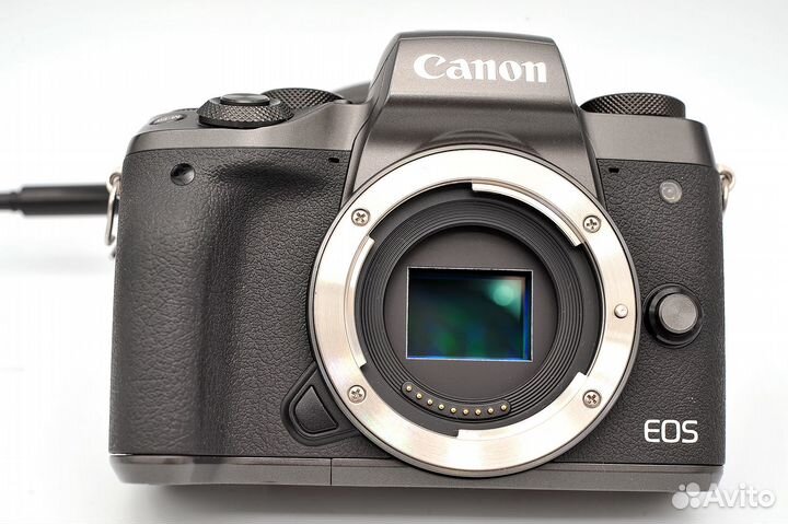 Canon EOS M5 kit