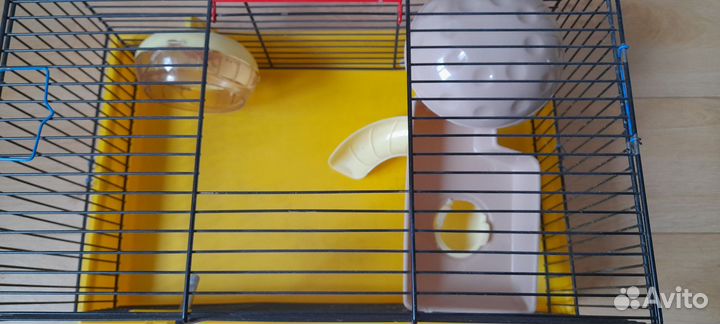 Клетка для джунгарского хомяка