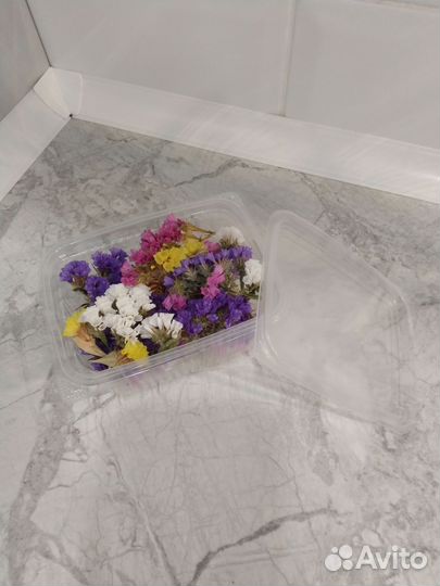 Статица сухоцветы