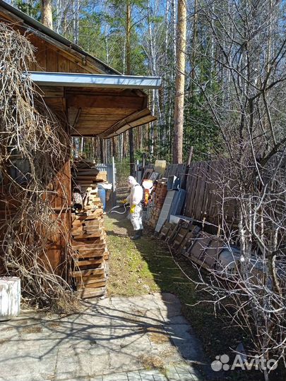 Дезинфекция