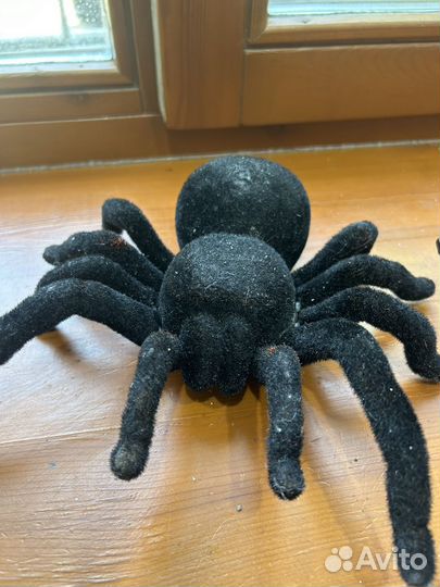 Паук на пульте