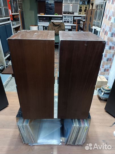 Колонки радиотехника S90B