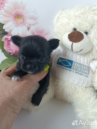 Малыш Космос