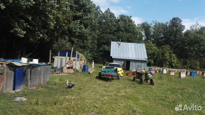 Мед натуральный с чувашии