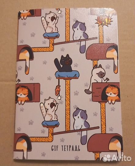 Тетрадь в точку