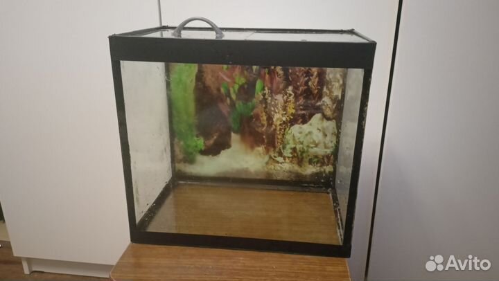 Аквариум