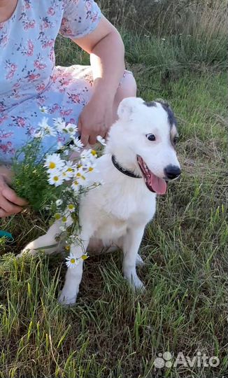 Не пройдите мимо