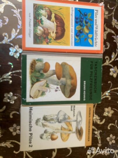 Атлас грибов торг