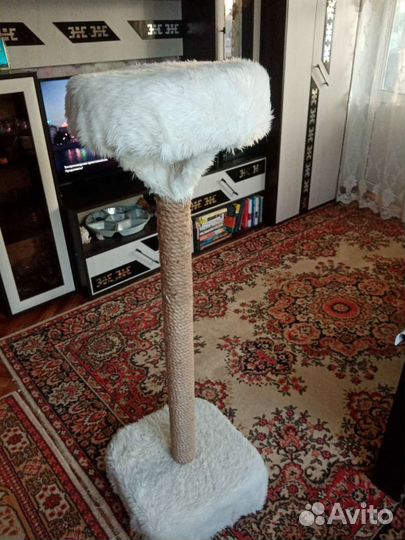 Когтеточка